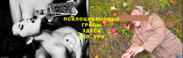 дживик Абинск