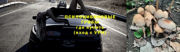 дживик Абинск
