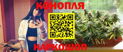трава Кингисепп