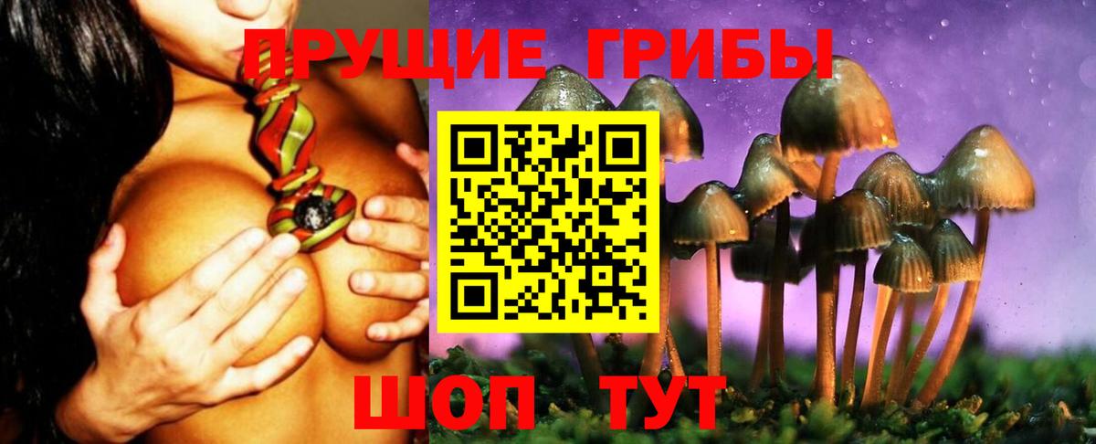 Майский  Псилоцибиновые грибы Psilocybe  продажа наркотиков  Вход с VPN 